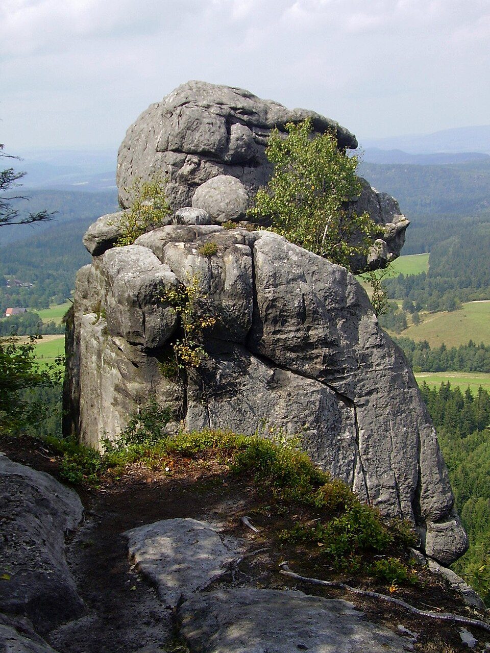 Szlak zielony