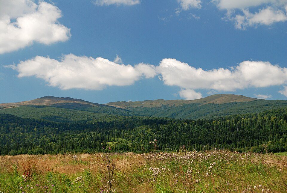 Przełęcz pod Tarnicą - Tarnica
