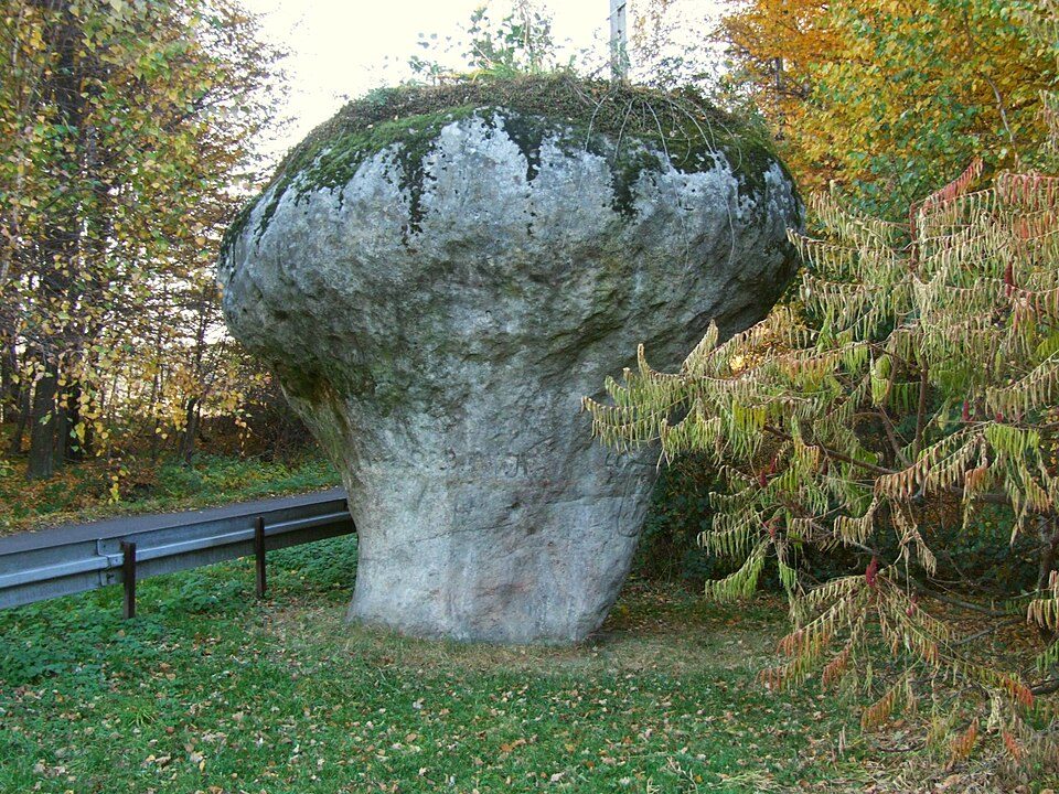 Grzyb skalny