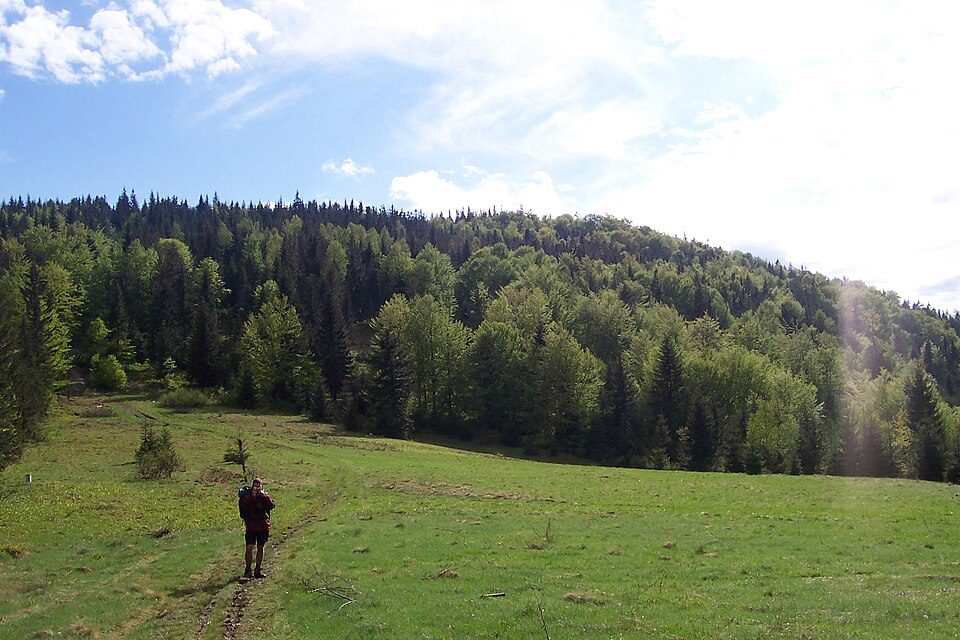 Beskid Krzyżowski (Szelust)