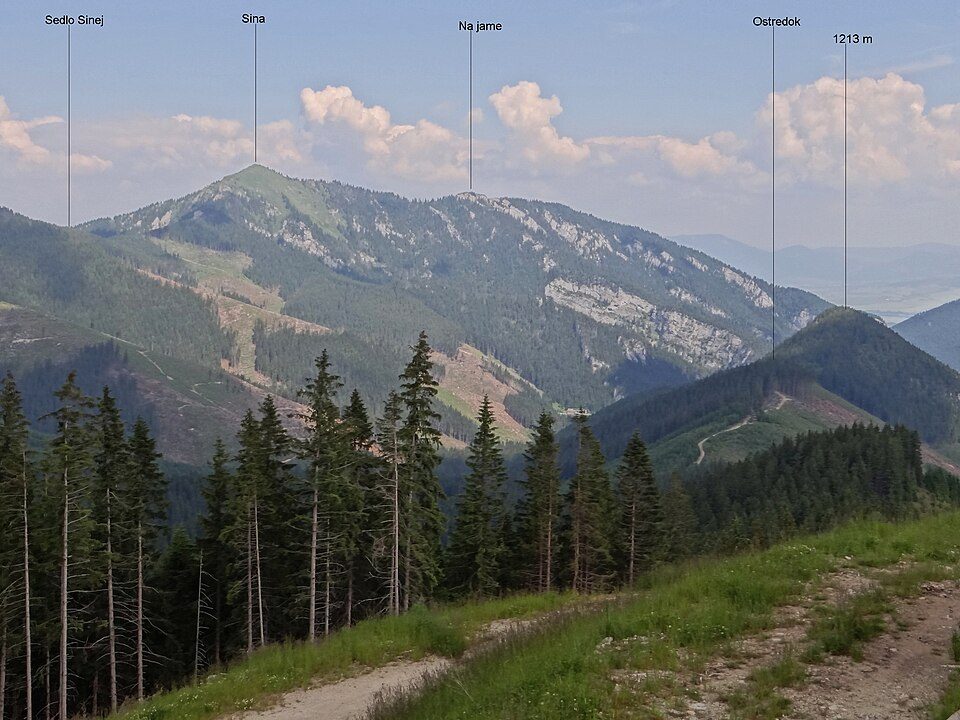 Repiská