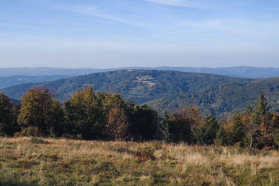 Lachów Groń