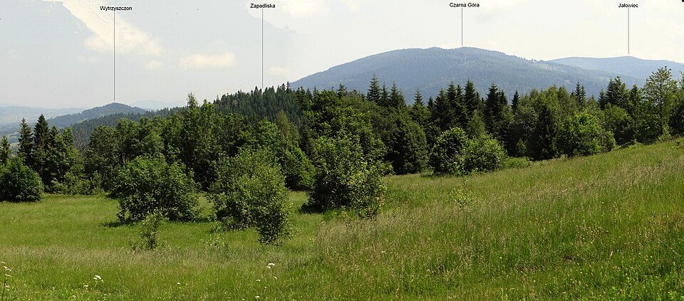 Czarna Góra
