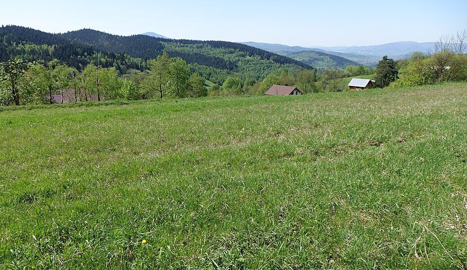 Jeleśnia - Gachowizna