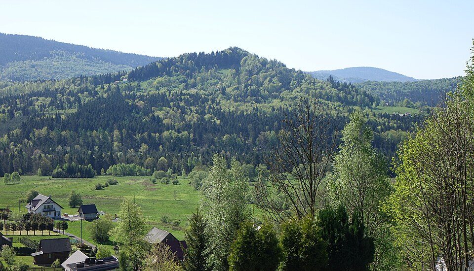Wytrzyszczon