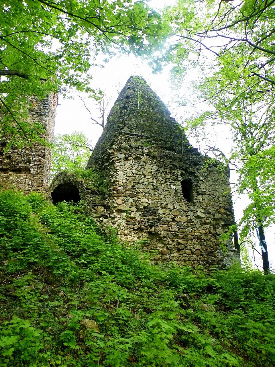 Muchów - Olszowy Staw