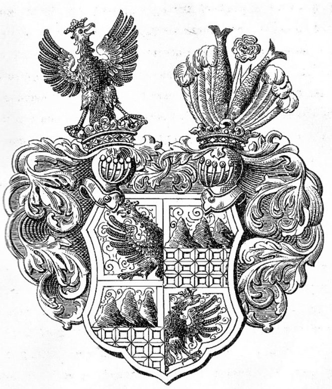 czarny