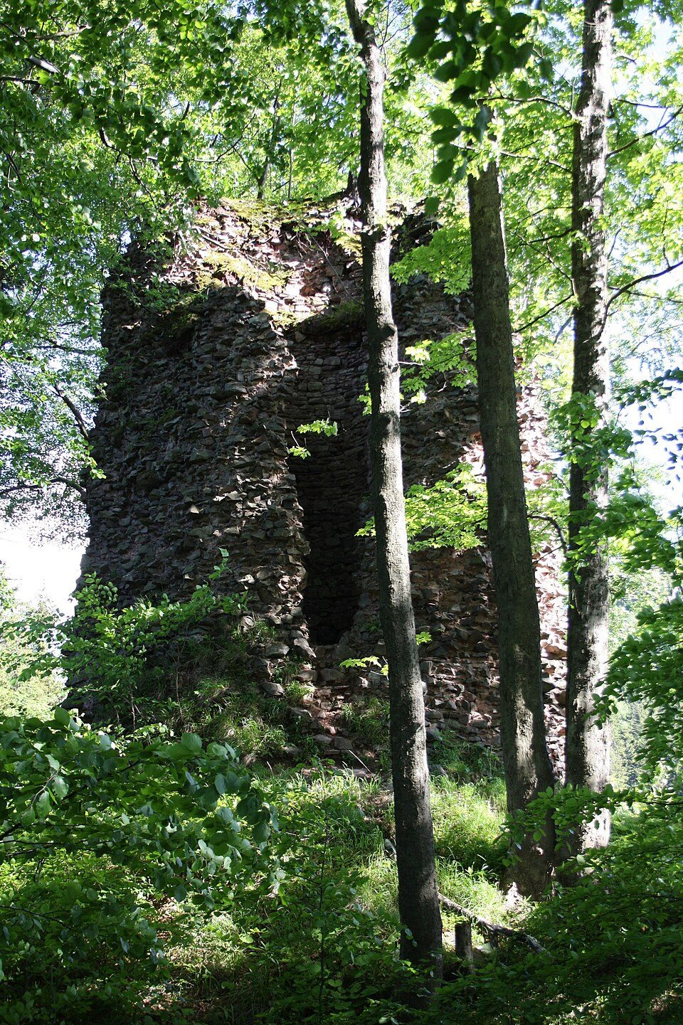 Ruiny Zamku Radosno