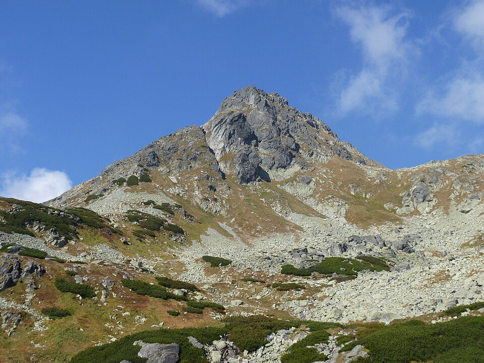 Mengusovský Volovec