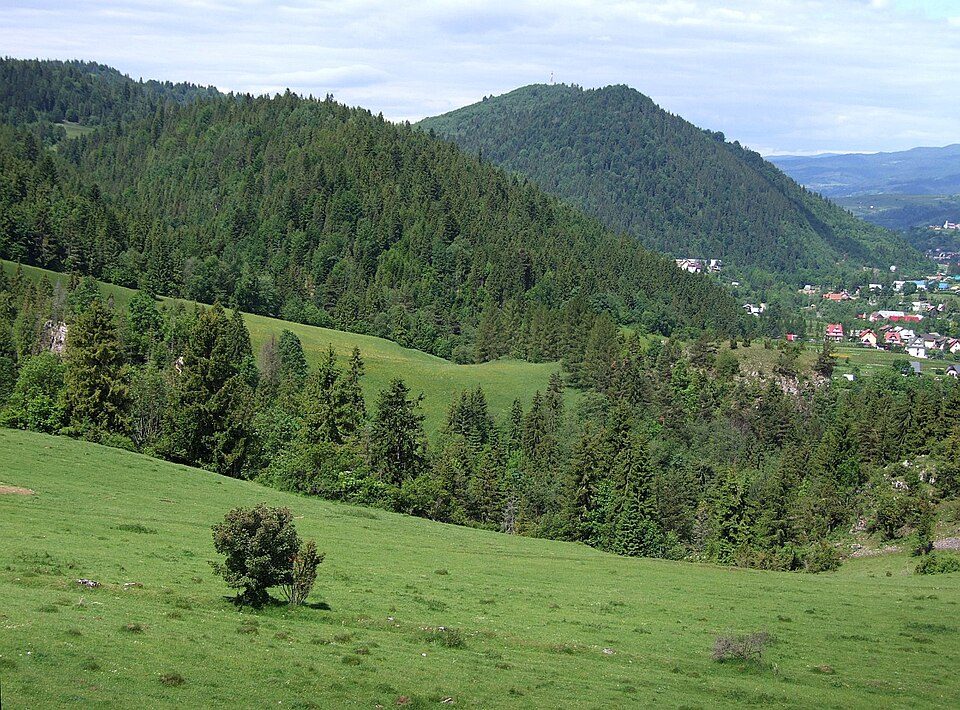 Ubocz (Pieninen)