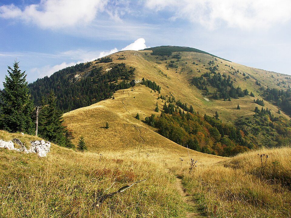 Rakytov (vrch)