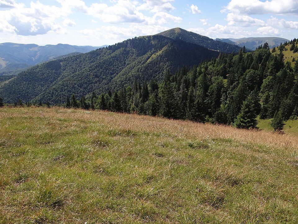 Tanečnica (vrch vo Veľkej Fatre)