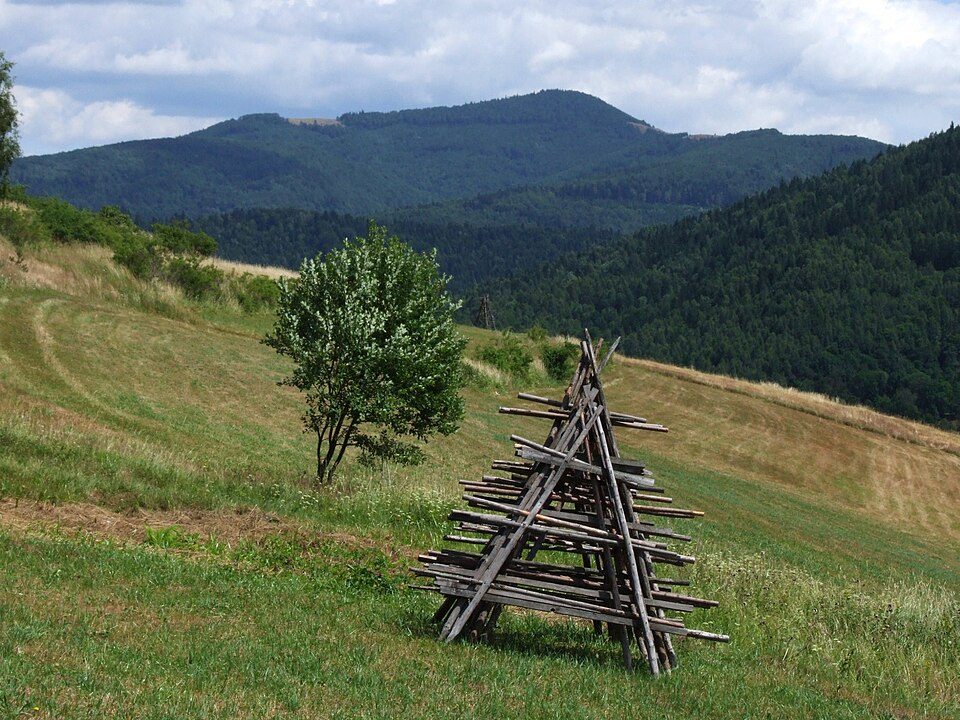 Mogielica