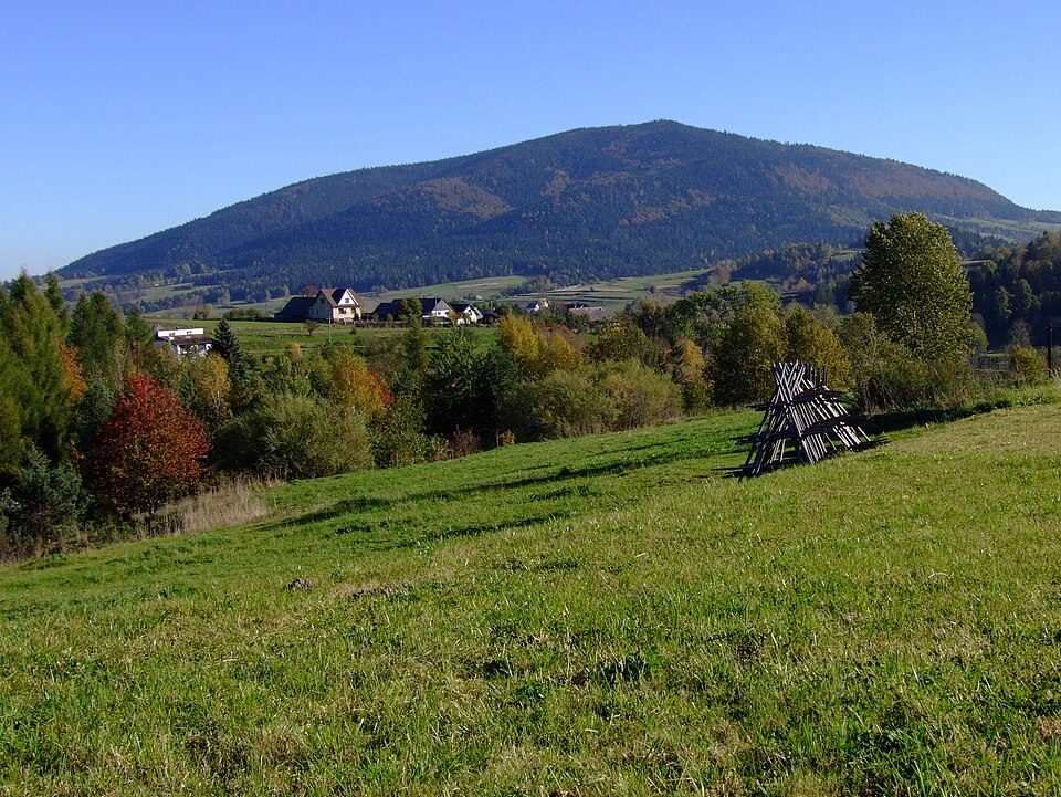 Łopień