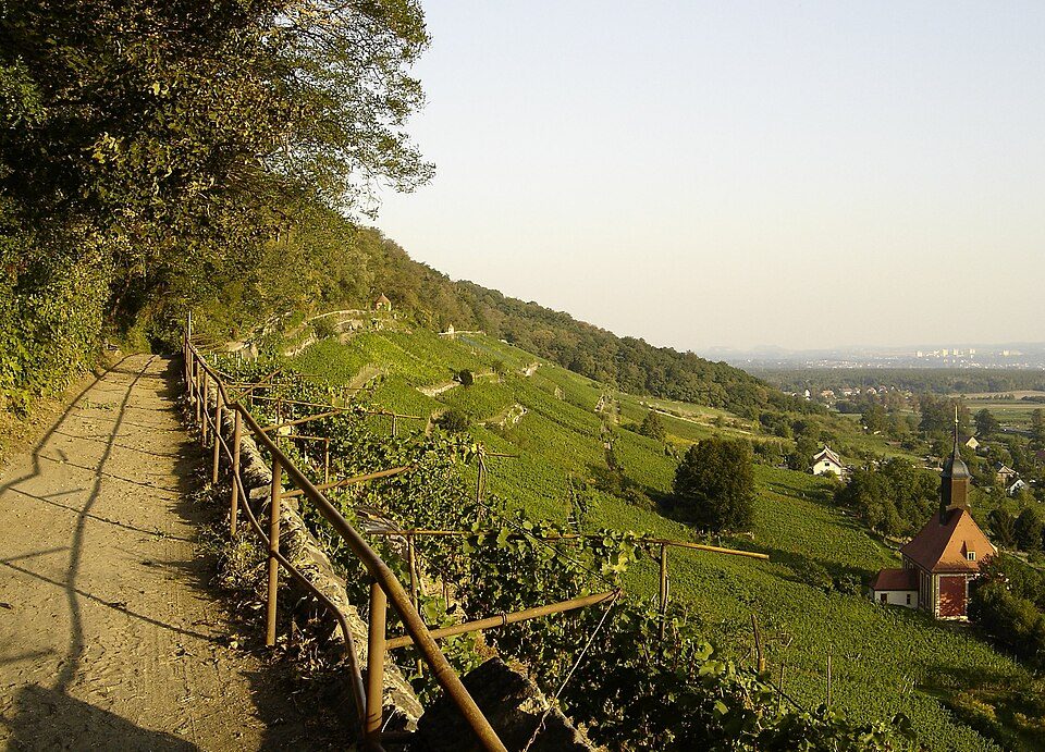 Sächsischer Weinwanderweg